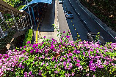 《LEGO建造者之旅》已登陆Steam、Epic和NS平台 